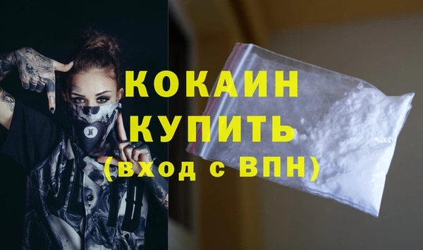 дживик Надым
