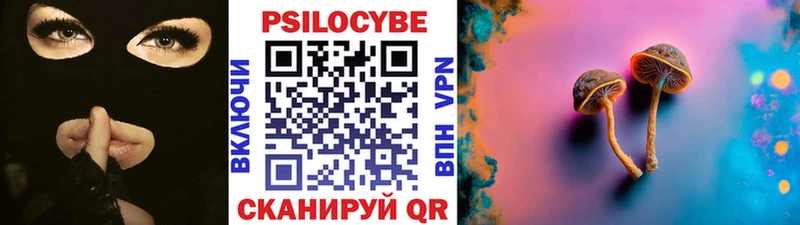 omg   Полярные Зори  Галлюциногенные грибы GOLDEN TEACHER 
